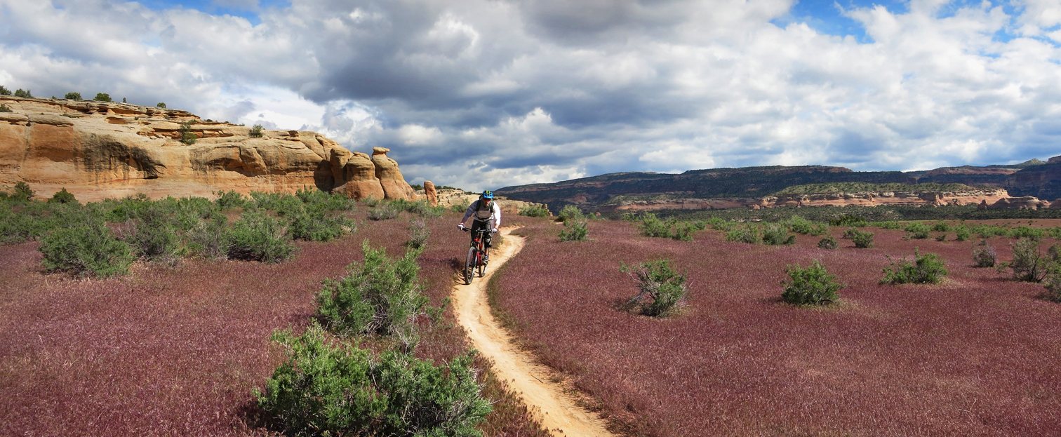 Rich_Horsethief_Bench
